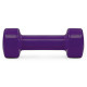 Гантели виниловые PowerPlay 4125 Achilles 22.5 кг. Фиолетовые (пара – 2шт.)