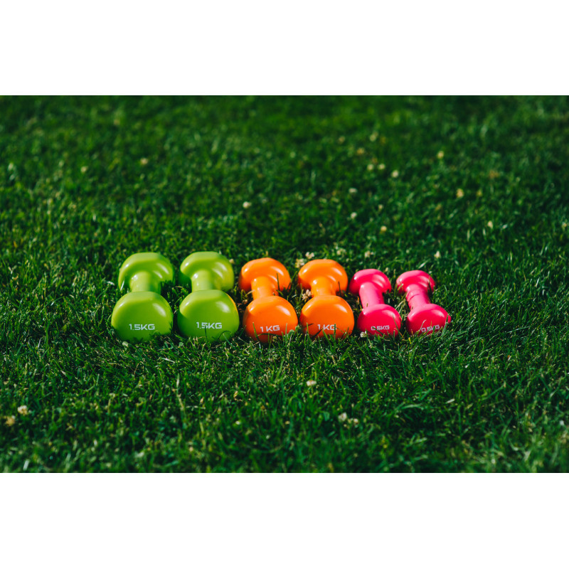 Набір гантелей в кейсі 6 кг. PowerPlay 4103 Fitness Dumbells (2шт.*0,5кг. 2шт.*1кг. 2шт.*1,5кг.)