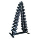 Гантельний ряд RN-Sport BLACK 1-10 кг зі стійкою