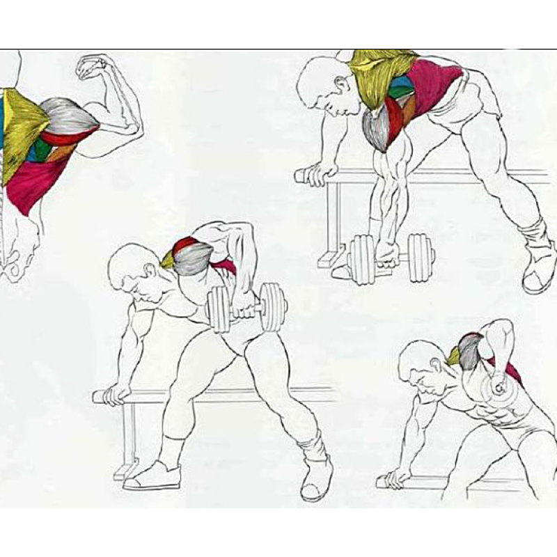 Лавка для жима лежа универсальная регулируемая + Гантели RN-Sport 2 по 20 кг с ABS-покрытием.