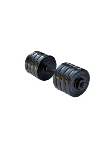 Гантель розбірний RN-Sport Long 10 кг